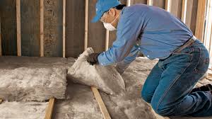 Best Wall Insulation Installation  in Eidson Road, TX